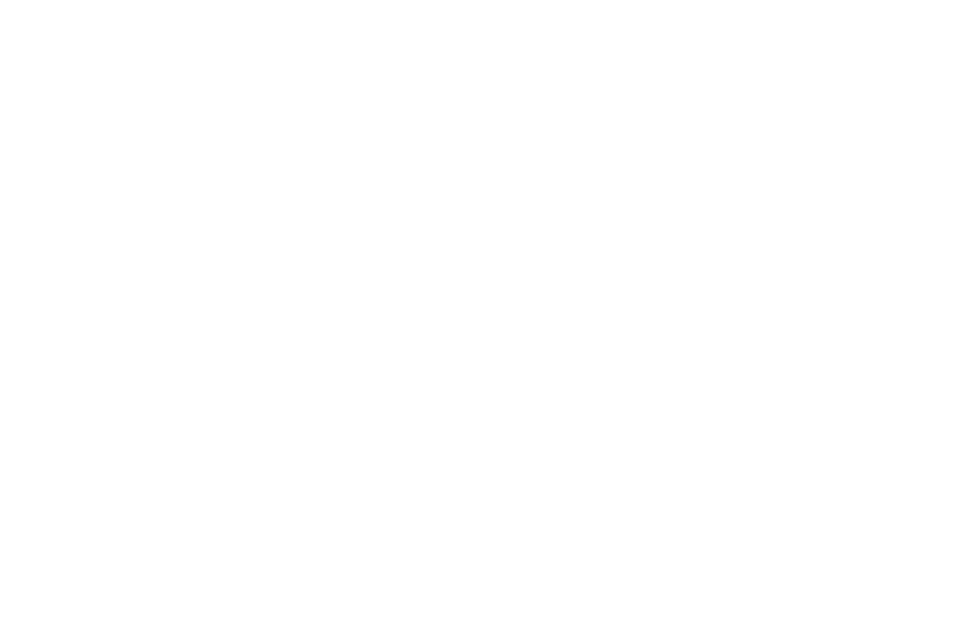 Moghimi Realty Group